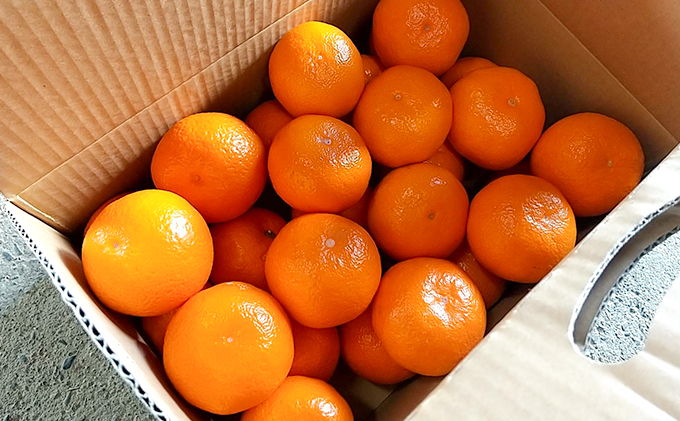 【2025年11月中旬より順次発送】滝沢みかん 光希「希-のぞみ-」２kg（S～Lサイズ） 果物 柑橘 フルーツ 濃厚 薄皮 デザート 食後