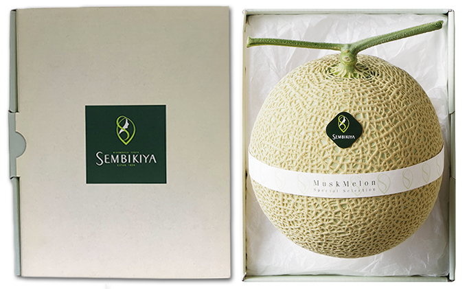 マスクメロン 1玉 1.3kg 日本橋 千疋屋総本店 メロン めろん 果物 くだもの フルーツ 旬の果物 旬のフルーツ 高級フルーツ 青肉 静岡クラウンメロン 千疋屋 デザート 静岡 静岡県 浜松市 【配送不可：離島】