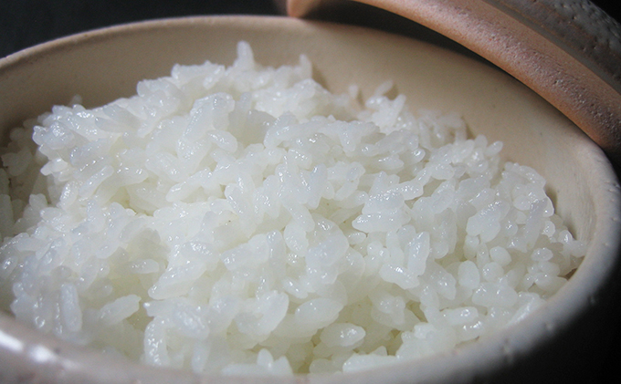 2025年10月上旬以降発送開始【定期便3回】雄踏ファームカモ産「特選みつばちまもる米」5kg コシヒカリ（3ヶ月連続・合計15kg） お米 白米 ブランド米 ご飯 おにぎり お弁当 産地直送 1等米