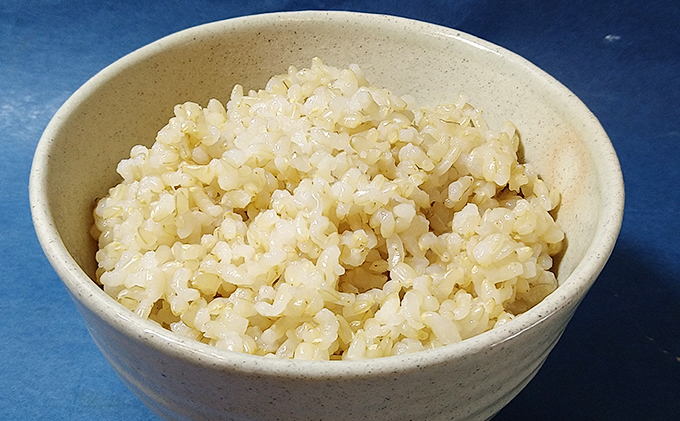 2025年10月上旬以降発送開始【定期便3回】雄踏ファームカモ産　玄米「特選みつばちまもる米」5kg コシヒカリ（3ヶ月連続・合計15kg） お米 ブランド米 ご飯 おにぎり お弁当 産地直送 1等米