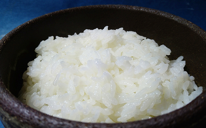 2025年12月上旬以降発送【定期便3回】雄踏ファームカモ産「みつばちまもる米」白米 5kg にこまる（3ヶ月連続・合計15kg） お米 コメ ご飯 ライス 特別栽培米 検査米 1等米 静岡 浜松