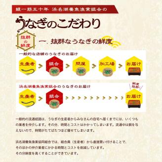 浜名湖産うなぎ特大・長蒲焼パック3枚入り【国産うなぎ】【配送不可：離島】