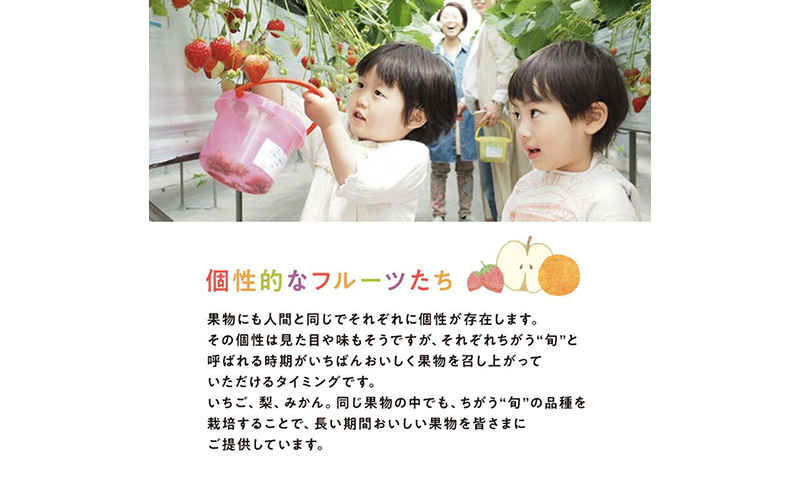 上村農園 こだわりのいちご 大粒章姫 2パック (1パックあたり約450g) イチゴ あまい おいしい 静岡 浜松市【配送不可：沖縄・離島】