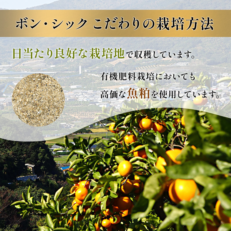 特秀 名匠のみかん S～Mサイズ 5kg【配送不可：離島】果物 くだもの フルーツ 旬の果物 旬のフルーツ みかん 蜜柑 ミカン 柑橘 柑橘類 秀品 静岡 静岡県 浜松市