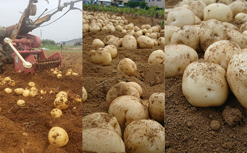 浜名湖のり塩ポテトチップス 100ｇ×18袋