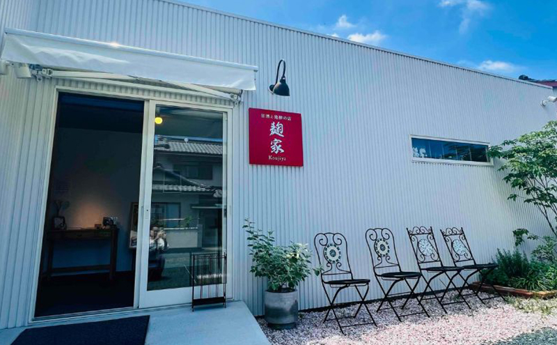 甘酒 発酵 食べる甘酒 16個 調味料 2個 セット 詰め合わせプレーン、 いちご、 ブルーベリー、 はとむぎ、 モリンガ、 ローカカオ、ビーツ、 しょう油麹 、塩麹 、冷凍 加工食品 飲む点滴 飲むスキンケア