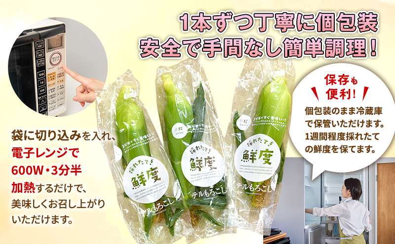 訳あり とうもろこし 先行予約 甘々娘 または 甘太郎 約8本～14本 家庭用 テルもろこし 先端カット済 個包装 レンジ調理 レンチン 旬 冷蔵配送 静岡 浜松市  2026年6月下旬頃より順次発送 配送不可：離島
