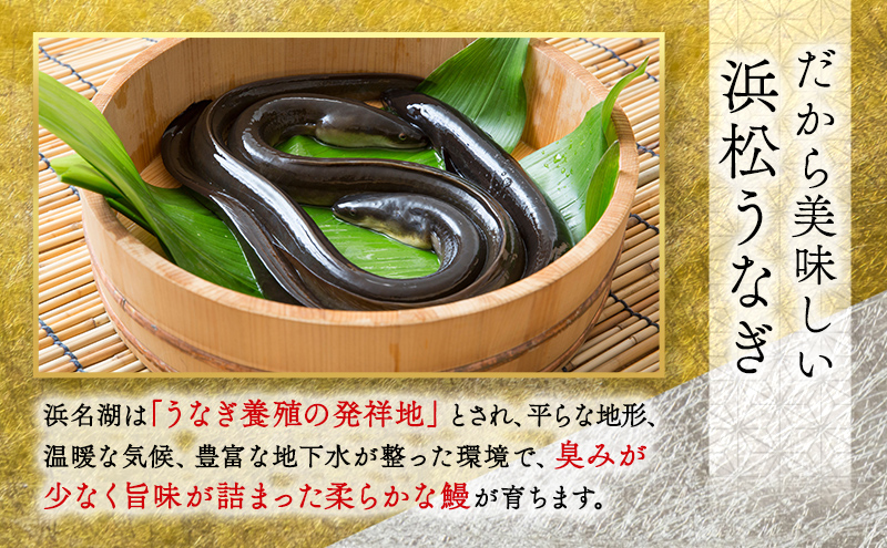 お食事券 うなぎ 浜松市24店舗で使える 12000円 食事券 補助券 チケット レストラン 料理屋 鰻 ウナギ 丑の日 土用の丑の日 静岡 静岡県 浜松市