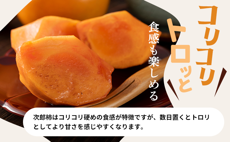訳あり 長生き次郎柿「長寿郎（ちょうじゅろう）」2L～Mサイズ 5kg 20～28玉入り 11月発送 柿 かき 果物 くだもの フルーツ 旬の果物 次郎柿 静岡 浜松市【配送不可：離島】