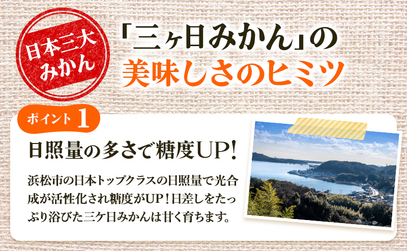 三ヶ日みかん 早生 8kg S～L サイズ混在 11月下旬より順次発送 みかん ミカン 蜜柑 早生みかん 三ヶ日 果物 くだもの フルーツ 旬の果物 旬のフルーツ 柑橘 柑橘類 糖度 静岡 静岡県 浜松市