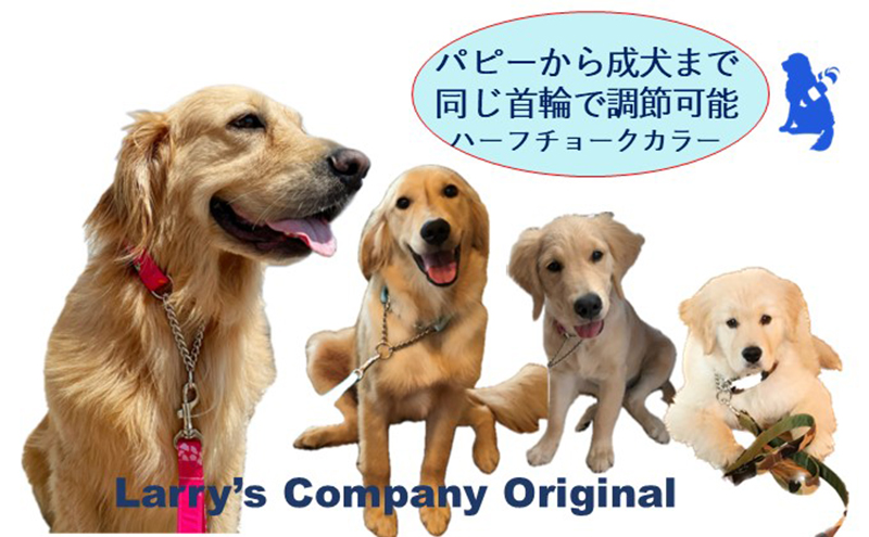 セール 犬 カラー & リード