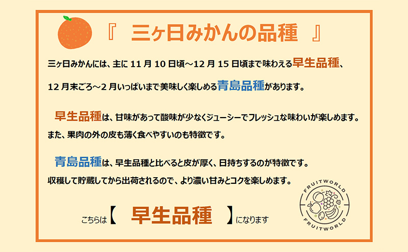 【2026年11月中旬より順次発送】 三ヶ日みかん 早生 3kg M～L 早生みかん みかん 蜜柑 ミカン 果物 くだもの 旬のフルーツ 旬の果物 季節のフルーツ 季節の果物 柑橘 柑橘類 静岡 静岡県 浜松市