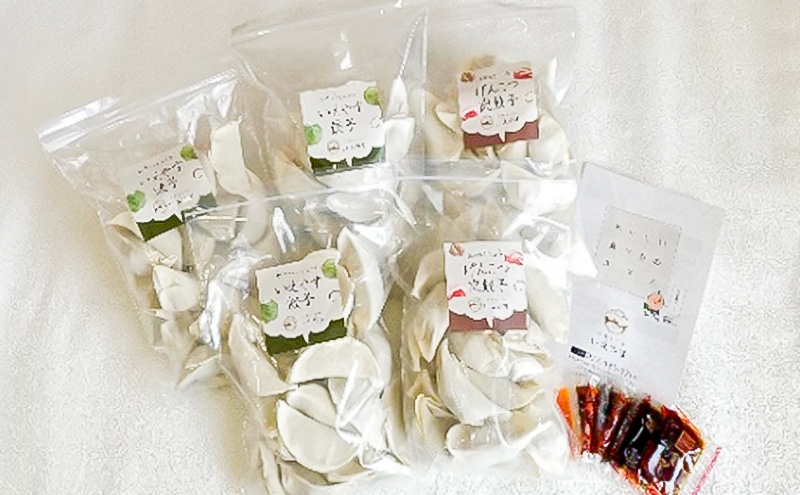 「浜松餃子」いえやす餃子 2種 100個セット【配送不可：離島】