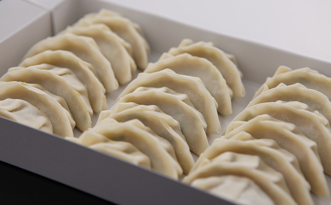 浜松餃子 126個（21個×6箱）・肉巻き餃子 20個（10個×2箱）【配送不可：離島】 餃子 食べ比べ ぎょうざ 惣菜 冷凍 浜松