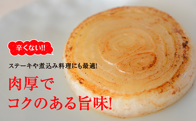 浜松篠原産新玉ねぎプレミアムフレッシュ10キロ【無選別品】