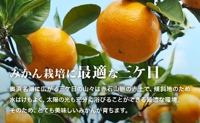 三ヶ日みかんジュース「浜名湖まるごと純粋搾り」720ml 2本【静岡 三ヶ日 みかん ジュース】 果汁飲料 野菜飲料 フレッシュ