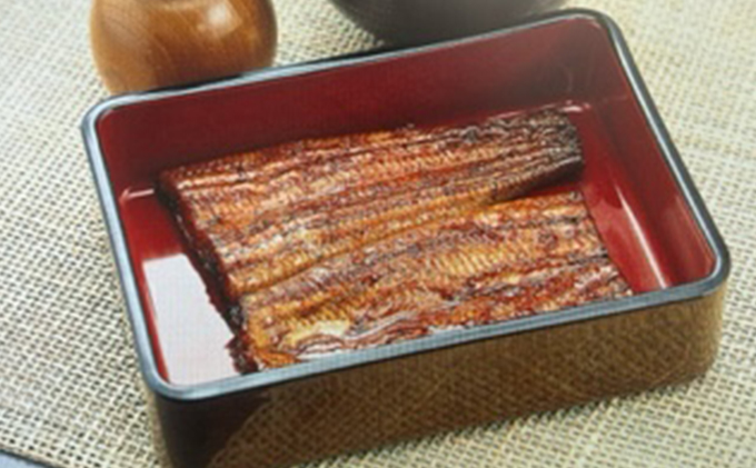 【2025年8月15日頃～順次発送予定】浜名湖産鰻　蒲焼 約140g×2本・鰻佃煮120g セット 土用の丑の日 丑の日 うなぎ 浜松 静岡県産