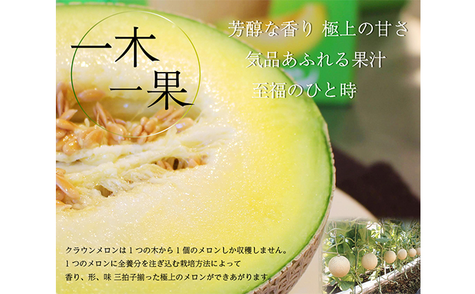 ワケありメロン6玉入り（クラウンメロン） 果物類 メロン青肉 フルーツ 訳あり ※順次発送