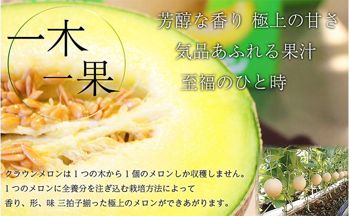 【定期便×3回】クラウンメロン 並（白）1.4kg 1玉