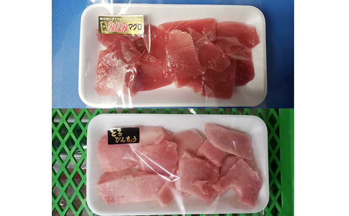 天然 南まぐろ 赤身切り落とし 脂びん長まぐろ 切り落とし セット 詰め合わせ マグロセット 刺身 刺し身 まぐろ 鮪 赤身 びんちょうまぐろ 魚 魚介 魚介類 高級 まぐろ赤身 まぐろ切り落とし 天然まぐろ 静岡 静岡県 浜松市 【配送不可：離島】