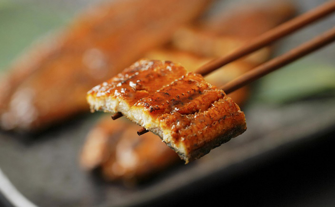 浜名湖うなぎ 蒲焼セット（蒲焼3尾・肝焼3本）【配送不可：離島】