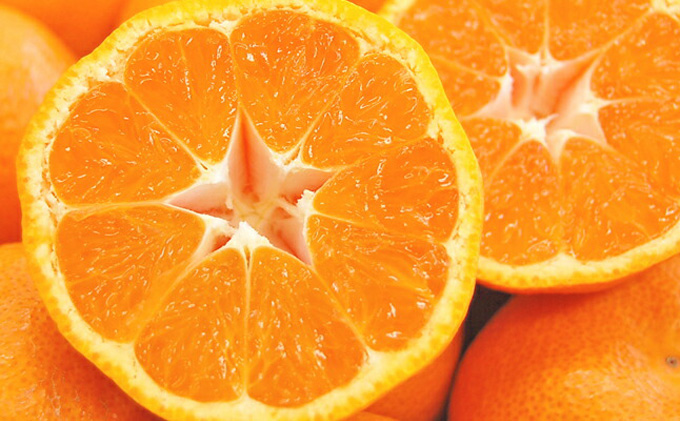 三ヶ日 青島みかん エキストラライト シロップ漬  2本（900g×2本）【配送不可：北海道・沖縄・離島】