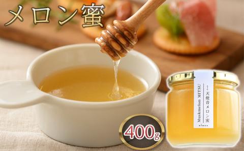 天使音（あまね）メロン蜜 400g