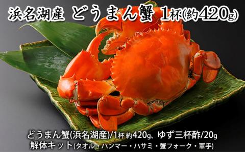 浜名湖産 どうまん蟹 1杯（約420g）【配送不可：離島】