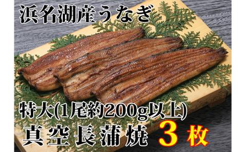 浜名湖産うなぎ特大・長蒲焼パック3枚入り【国産うなぎ】【配送不可：離島】