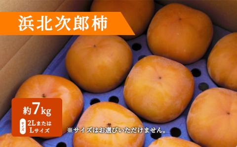 浜北次郎柿 秀品 約7kg サイズ 2LまたはL 目安 24～28玉【2025年11月中旬より順次発送】 果物類