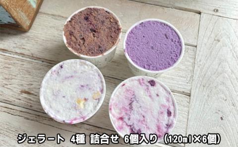 【2024年6月上旬以降順次発送】ジェラート4種詰め合わせ 6個入り【配送不可：離島】