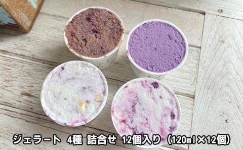 【2024年6月上旬以降順次発送】ジェラート4種詰め合わせ12個入り【配送不可：離島】