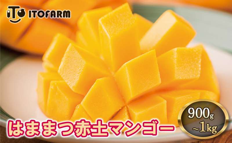 【受付期間:2025年7月10日まで】完熟マンゴー 浜松赤土産 900g以上～1kg未満 期間限定 フルーツ 贅沢 果物 果汁 芳醇 上質 濃厚 ジューシー 食品 デザート おやつ ご褒美 高糖度 国産 産地直送 特産品 浜松市