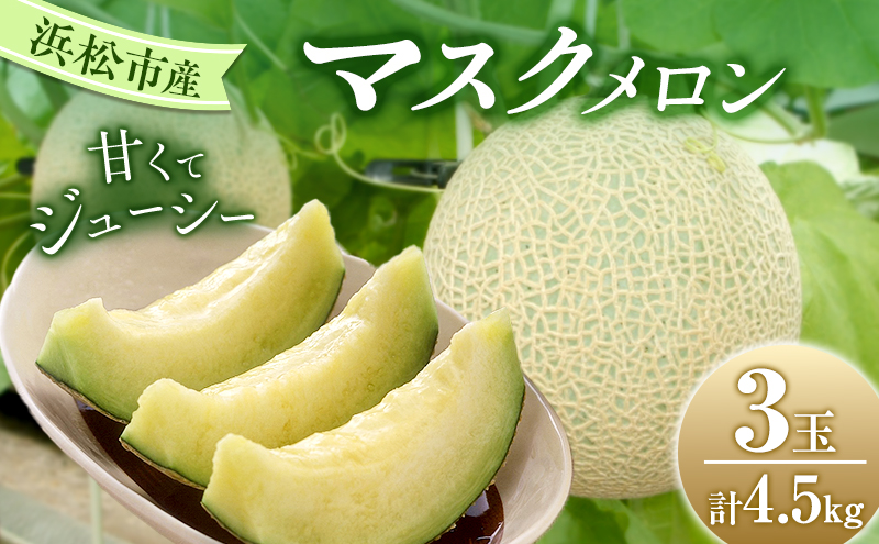 【2026年7月上旬より順次発送】静岡県浜松市産マスクメロン1.5kg×3個