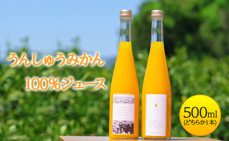 【2024年10月下旬より順次発送】みかんジュース ストレート 静岡県浜松市うんしゅうみかん100％ジュース 500ml 温州みかん 【浜松市】