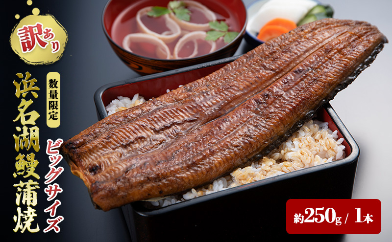 【訳アリ・数量限定】浜名湖鰻蒲焼1本（約250ｇ） ビッグサイズ　うなぎ ウナギ 鰻 蒲焼 蒲焼き 魚貝類 訳あり 土用の丑の日 静岡県 浜松市