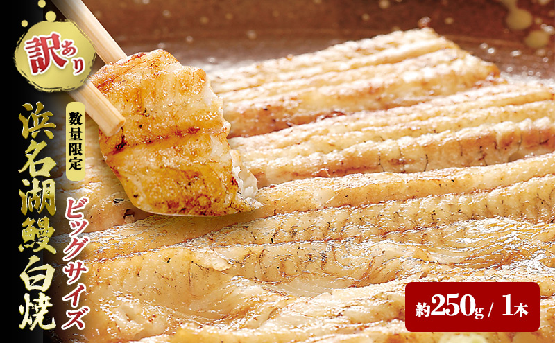 【訳アリ・数量限定】浜名湖鰻白焼1本（約250ｇ） ビッグサイズ うなぎ ウナギ 鰻 白焼 白焼き 魚貝類 訳あり 土用の丑の日 静岡県 浜松市