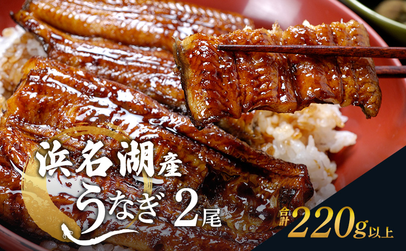 国産うなぎ 浜名湖産鰻蒲焼き２本セット(110g×2) 山椒 たれ セット 詰め合わせ 海老仙 国産 うなぎ ウナギ 鰻 うなぎの蒲焼 土用の丑の日 静岡 浜松