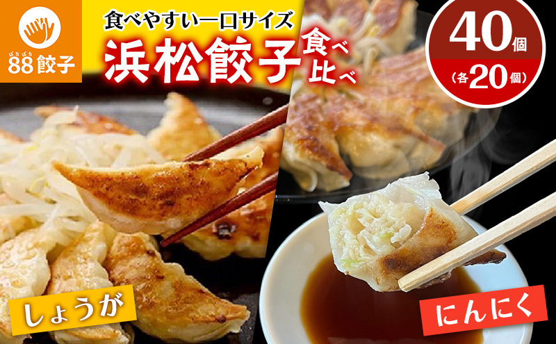 浜松餃子の88ぱちぱち餃子　40個おためしセット