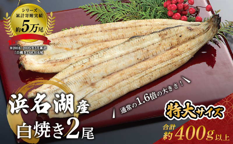 国産うなぎ 浜名湖産 長白焼き 2尾 (200g×2本入) 山椒 たれ セット 詰め合わせ 海老仙 国産ウナギ 国産 ウナギ 鰻 白焼き 白焼きうなぎ 小分け おすすめ 贈答用 土用の丑の日 静岡 静岡県 浜松市