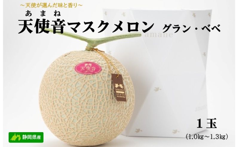 天使音（あまね）マスクメロン　グラン・べべ （1.0kg～1.3kg） 1玉 【配送不可：離島】 フルーツ 果物 メロン 静岡県 浜松市 高級