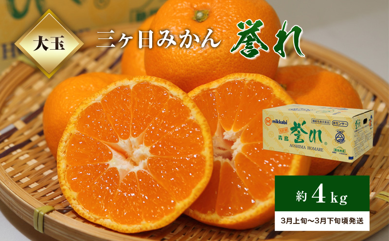 【2026年3月上旬より順次発送】三ケ日みかん「誉れ」 約4kg