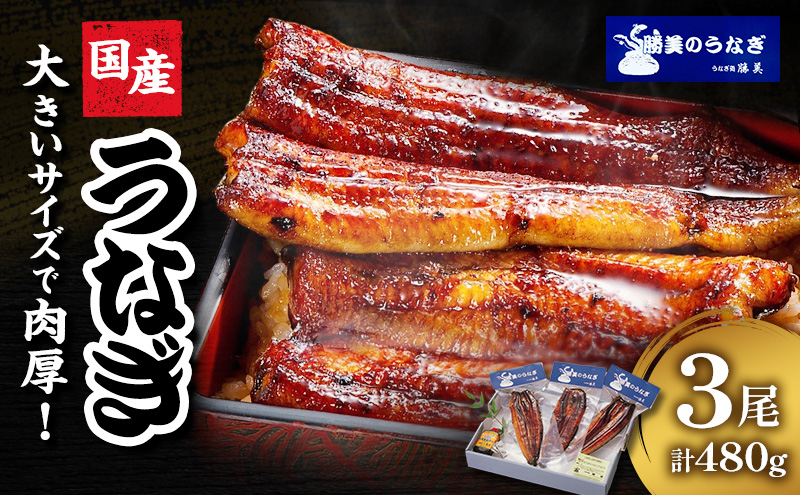 うなぎ 浜松 国産 鰻 蒲焼 3尾 (160g×3尾 タレ75ml×1 山椒付) セット 勝美 土用の丑の日 丑の日 小分け 真空パック 国産うなぎ 浜松うなぎ 浜名湖うなぎ 蒲焼き ギフト プレゼント 贈答 浜名湖 産地直送 冷凍 冷凍配送 静岡 静岡県 浜松市