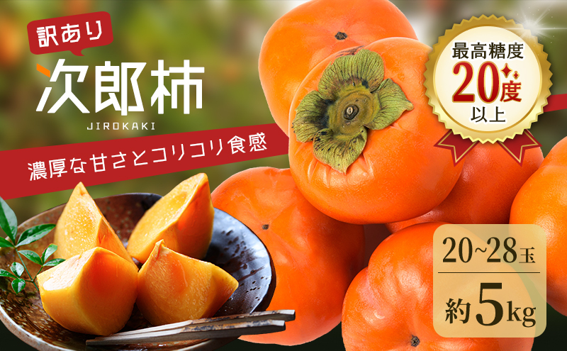 訳あり 長生き次郎柿「長寿郎（ちょうじゅろう）」2L～Mサイズ 5kg 20～28玉入り 12月発送 柿 かき 果物 くだもの フルーツ 次郎柿 静岡 静岡県 訳アリ 浜松市【配送不可：離島】