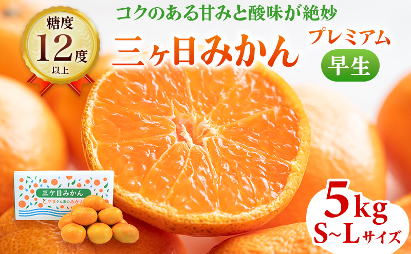 三ヶ日みかん プレミアム 早生 5kg S～Lサイズ混在 11月下旬より順次発送 みかん ミカン 蜜柑 早生みかん 三ヶ日 果物 くだもの フルーツ 旬の果物 旬のフルーツ 柑橘 柑橘類 糖度 静岡 静岡県 浜松市