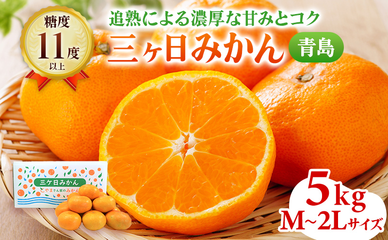 先行予約 青島みかん M～2Lサイズ サイズ混在 5kg 三ヶ日みかん 果物 くだもの フルーツ 旬の果物 旬のフルーツ みかん 蜜柑 ミカン 三ヶ日 青島 柑橘 柑橘類 静岡 静岡県 浜松市