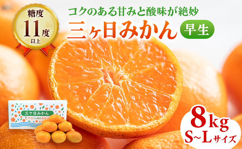 三ヶ日みかん 早生 8kg S～L サイズ混在 11月下旬より順次発送 みかん ミカン 蜜柑 早生みかん 三ヶ日 果物 くだもの フルーツ 旬の果物 旬のフルーツ 柑橘 柑橘類 糖度 静岡 静岡県 浜松市