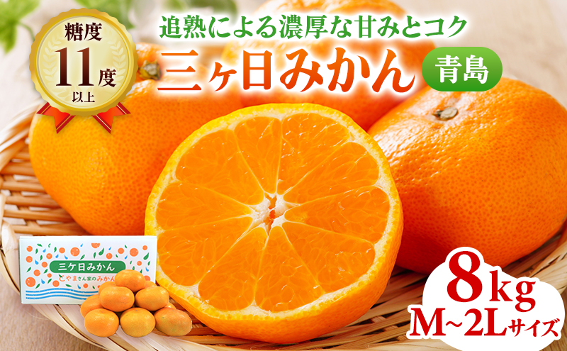 三ヶ日みかん 青島 8kg M～2L サイズ混在 12月中旬より順次発送 みかん ミカン 蜜柑 青島みかん 三ヶ日 果物 くだもの フルーツ 旬の果物 旬のフルーツ 柑橘 柑橘類 糖度 静岡 静岡県 浜松市