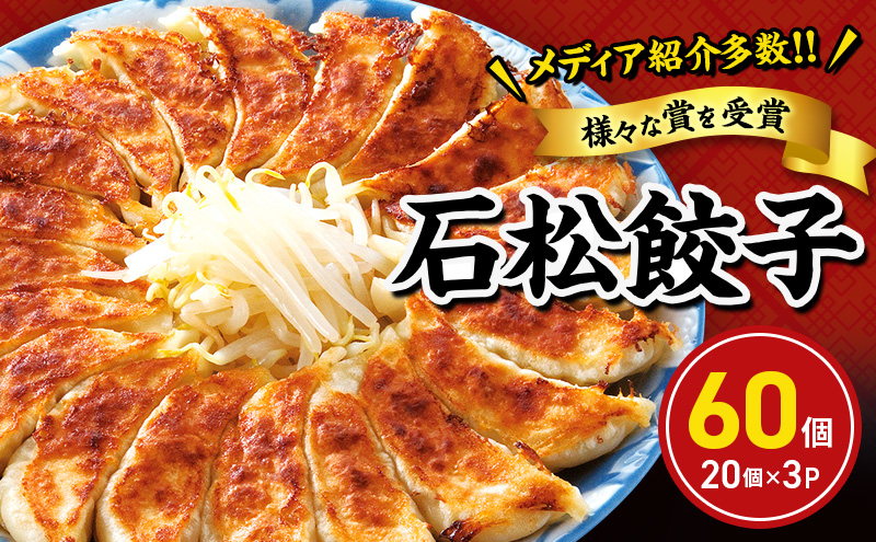 元祖 浜松餃子 石松の定番餃子詰合せ 60個入り【配送不可：離島】