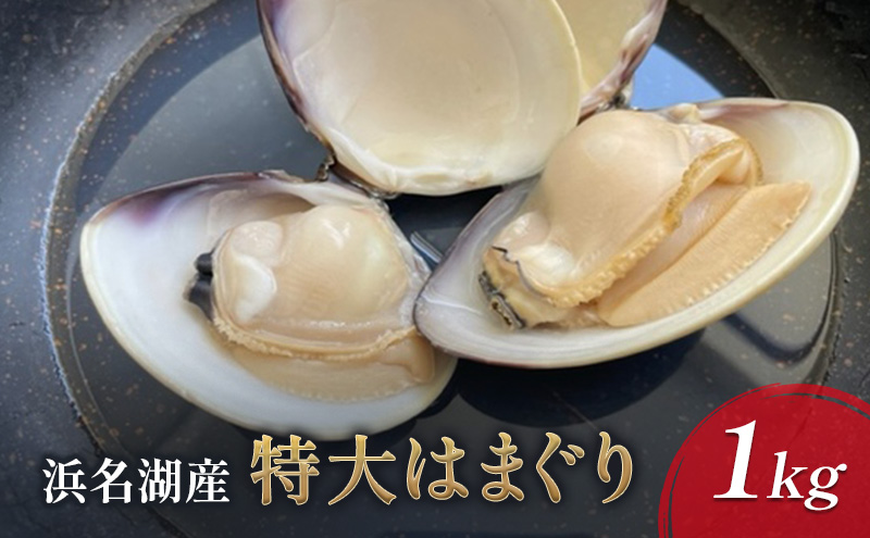 浜名湖産 特大はまぐり 1kg【配送不可：北海道・沖縄・離島】 たっぷり 栄養 貝柱 ぷりぷり 食感 美味しい 浜松市